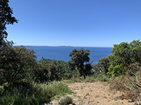 Collobrières